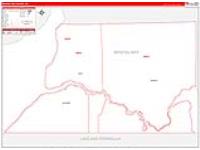 Bristol Bay Borough (), Ak Carrier Route Wall Map